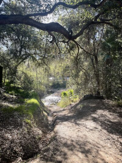Walnut Creek Trail - San Dimas, CA