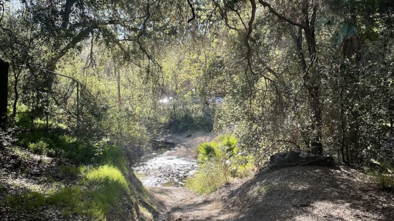 Walnut Creek Trail - San Dimas, CA