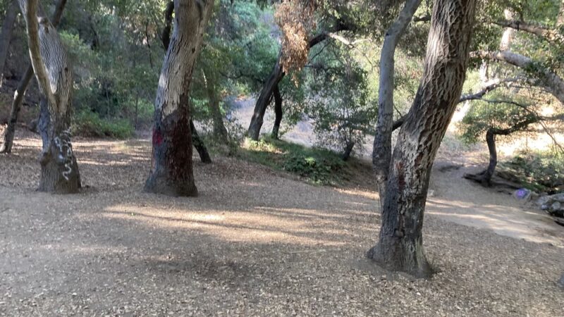Walnut Creek Trail - San Dimas, CA