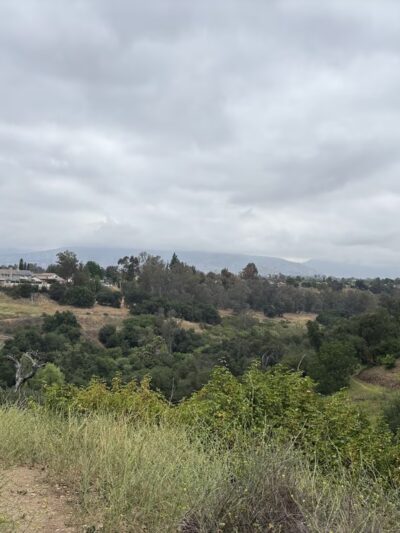 Walnut Creek Trail - San Dimas, CA