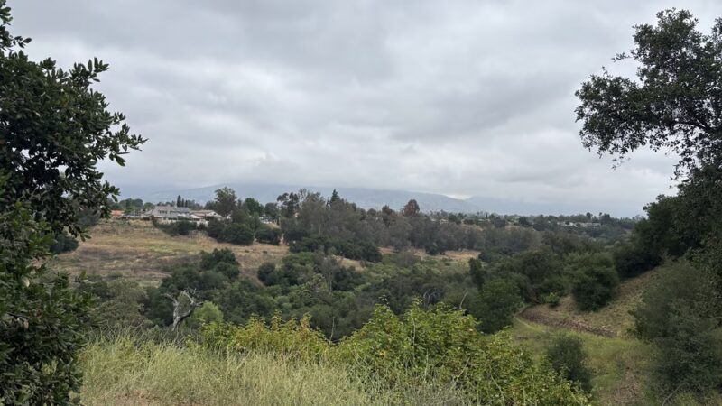 Walnut Creek Trail - San Dimas, CA