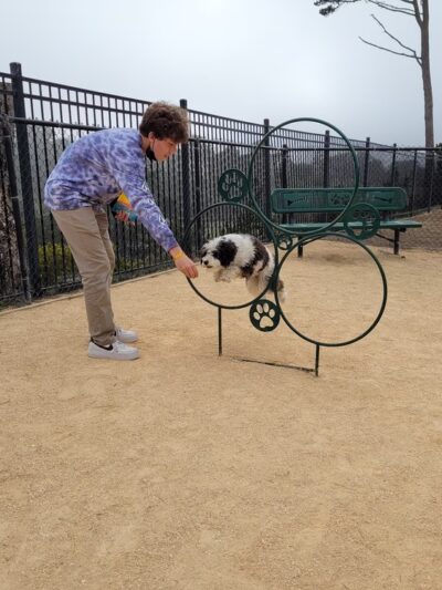 Dog Agility Park - San Francisco, CA