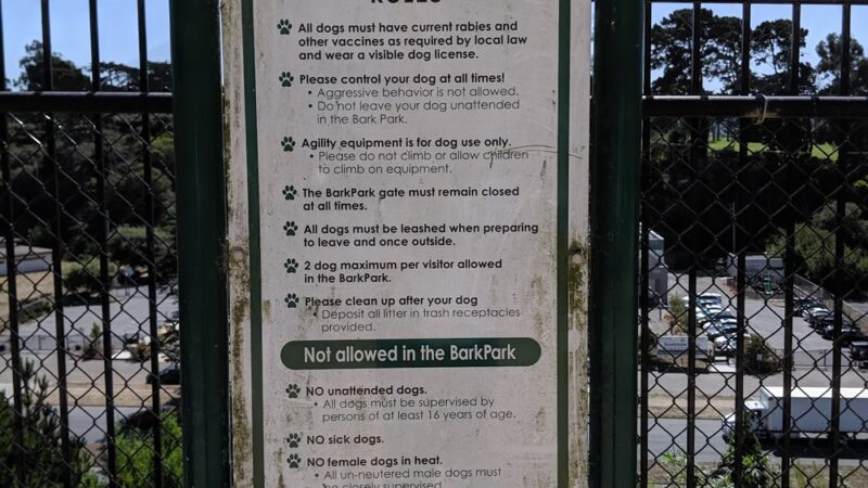 Dog Agility Park - San Francisco, CA