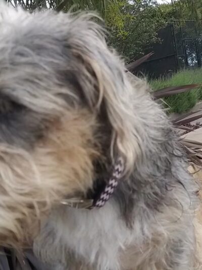 Lafayette Park - San Francisco, CA