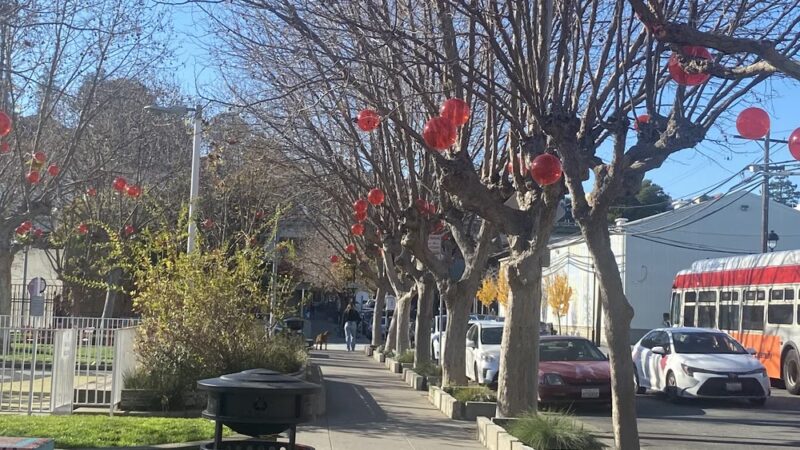 Woods Yard Park - San Francisco, CA