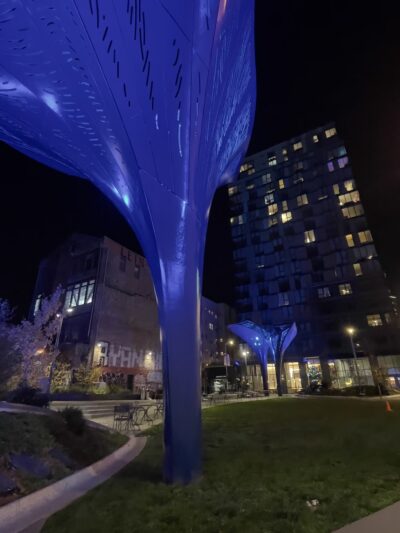 5M Dog Park - San Francisco, CA