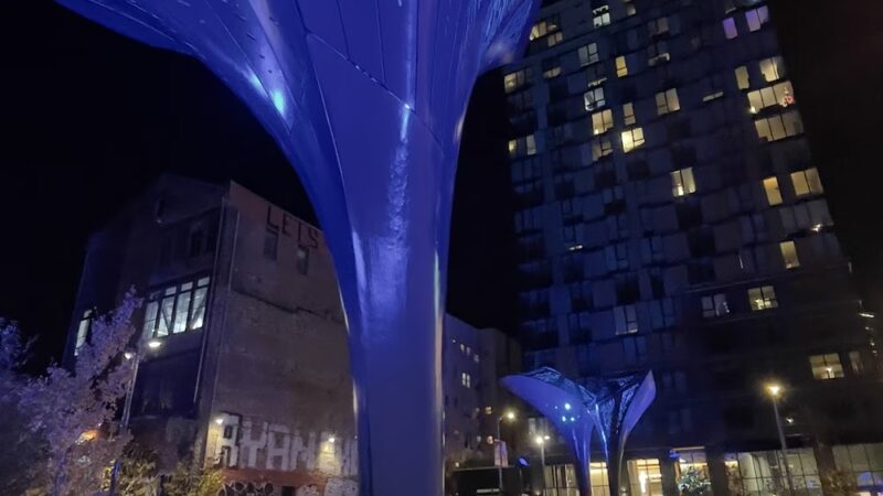 5M Dog Park - San Francisco, CA