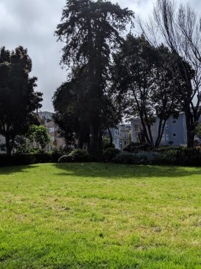 Allyne Park - San Francisco, CA