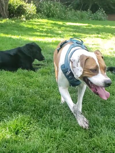 Allyne Park - San Francisco, CA