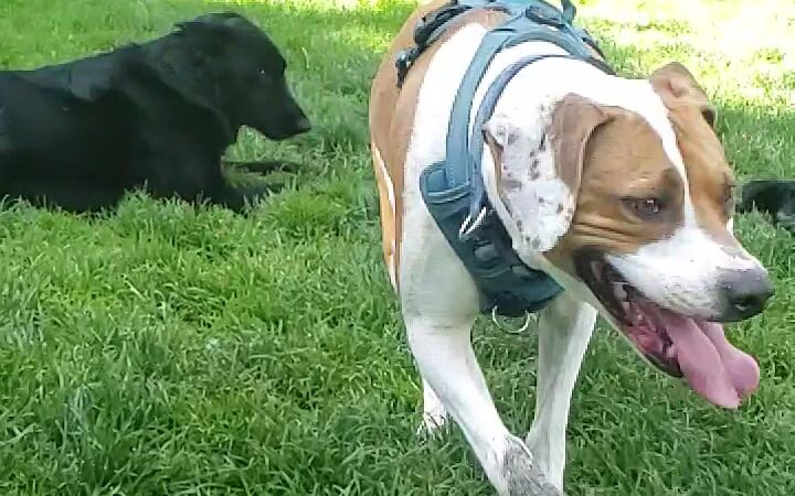 Allyne Park - San Francisco, CA