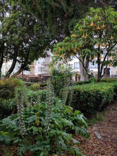 Allyne Park - San Francisco, CA