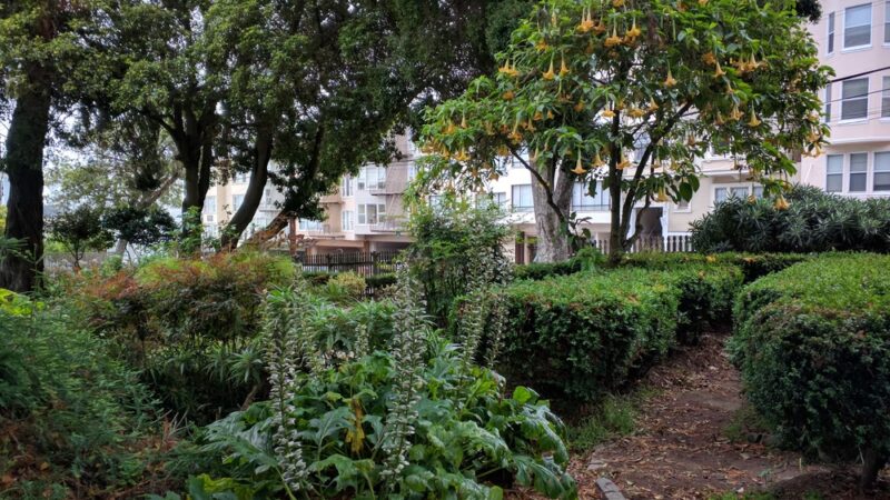 Allyne Park - San Francisco, CA