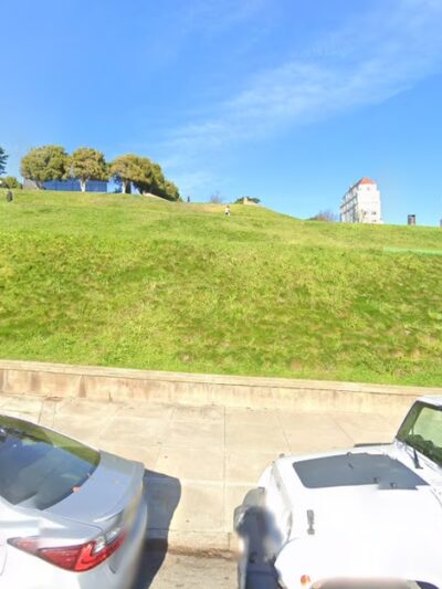 Alta Plaza Dog Play Area - San Francisco, CA