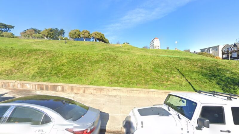 Alta Plaza Dog Play Area - San Francisco, CA