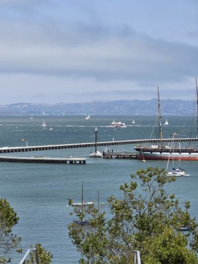 Berkeley's Park - San Francisco, CA