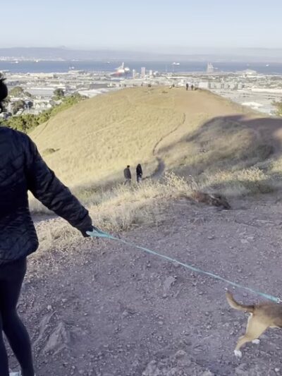 Bernal Heights Dog Play Area - San Francisco, CA