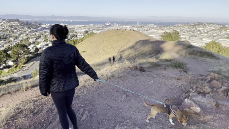 Bernal Heights Dog Play Area - San Francisco, CA