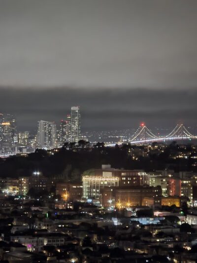 Bernal Heights Dog Play Area - San Francisco, CA
