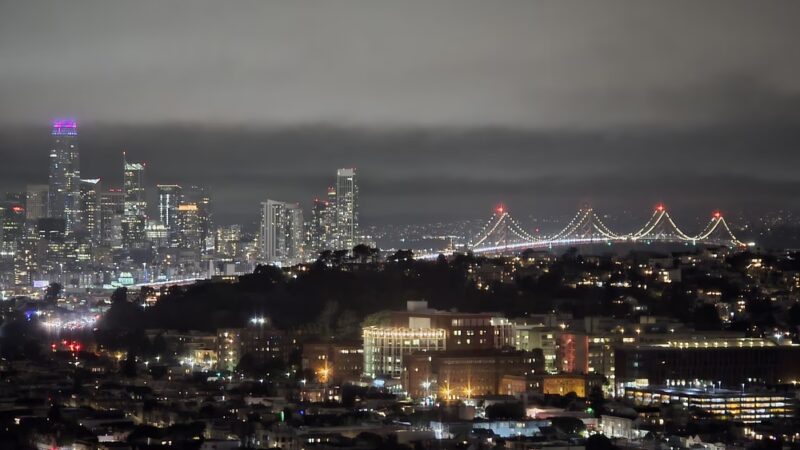 Bernal Heights Dog Play Area - San Francisco, CA