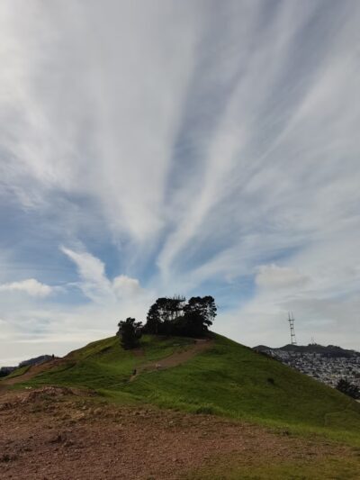 Bernal Heights Dog Play Area - San Francisco, CA