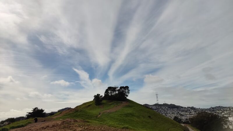 Bernal Heights Dog Play Area - San Francisco, CA