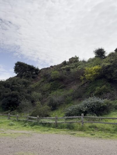 Corona Heights Dog Run - San Francisco, CA