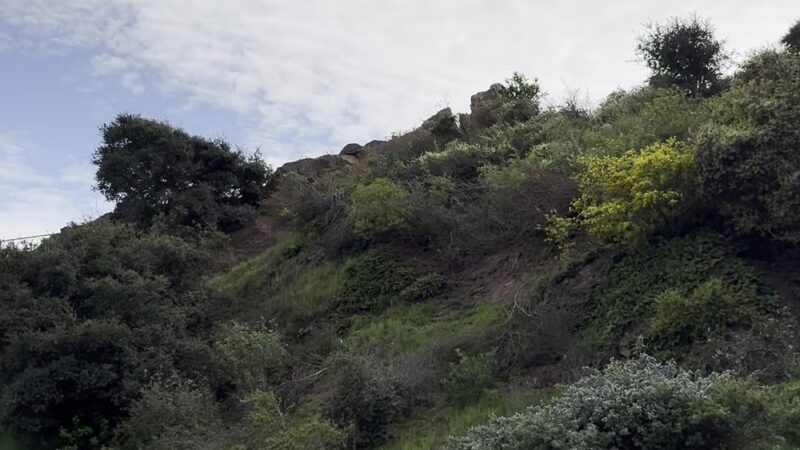 Corona Heights Dog Run - San Francisco, CA