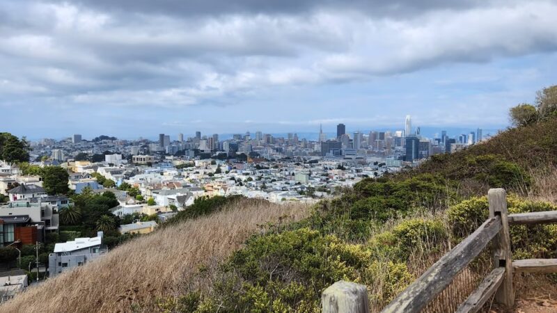 Corona Heights Dog Run - San Francisco, CA