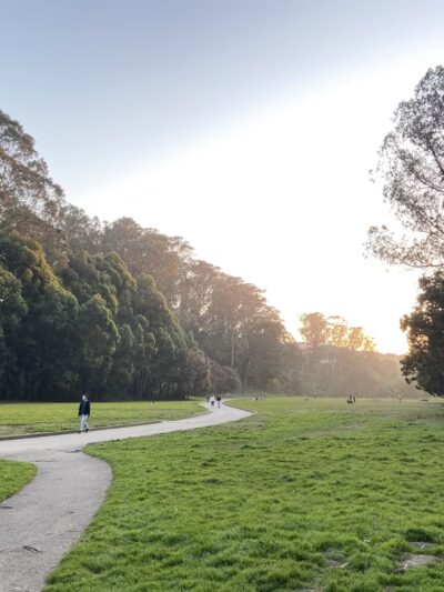 Dog Park | Pine Lake Park - San Francisco, CA