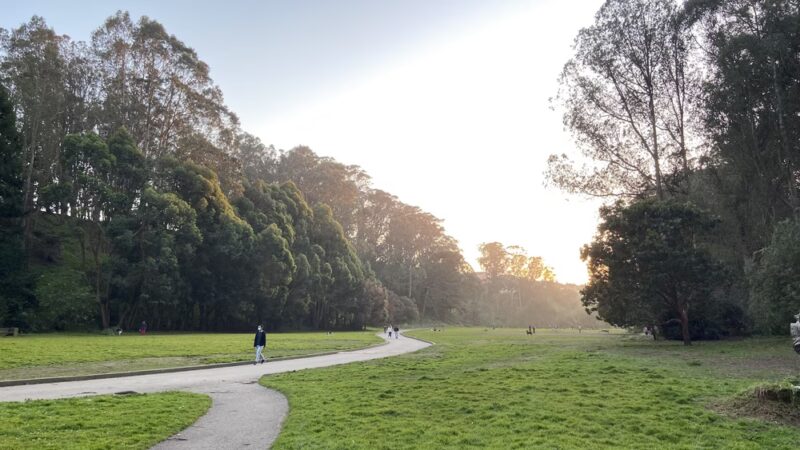 Dog Park | Pine Lake Park - San Francisco, CA