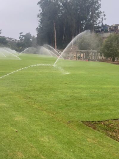 Dog Park | Pine Lake Park - San Francisco, CA
