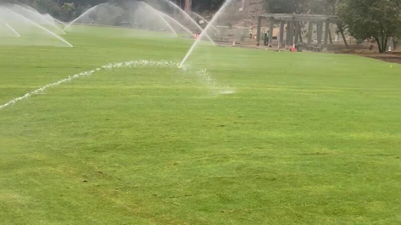 Dog Park | Pine Lake Park - San Francisco, CA