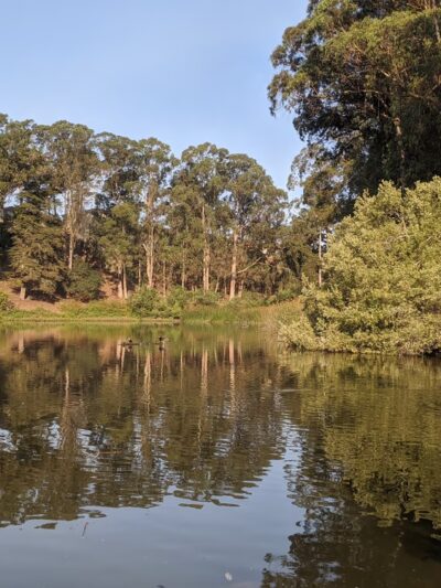 Dog Park | Pine Lake Park - San Francisco, CA