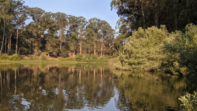 Dog Park | Pine Lake Park - San Francisco, CA