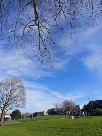 Duboce Park - San Francisco, CA