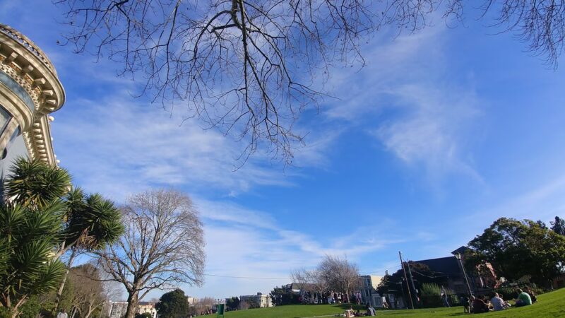 Duboce Park - San Francisco, CA