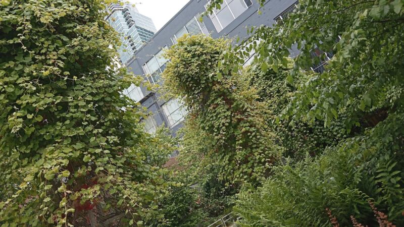 Guy Place Mini Park - San Francisco, CA