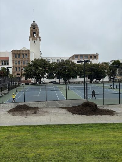 Mission Dolores Dog Play Area North - San Francisco, CA