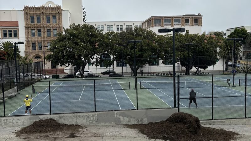 Mission Dolores Dog Play Area North - San Francisco, CA