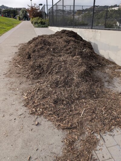 Mission Dolores Dog Play Area North - San Francisco, CA