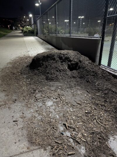 Mission Dolores Dog Play Area North - San Francisco, CA