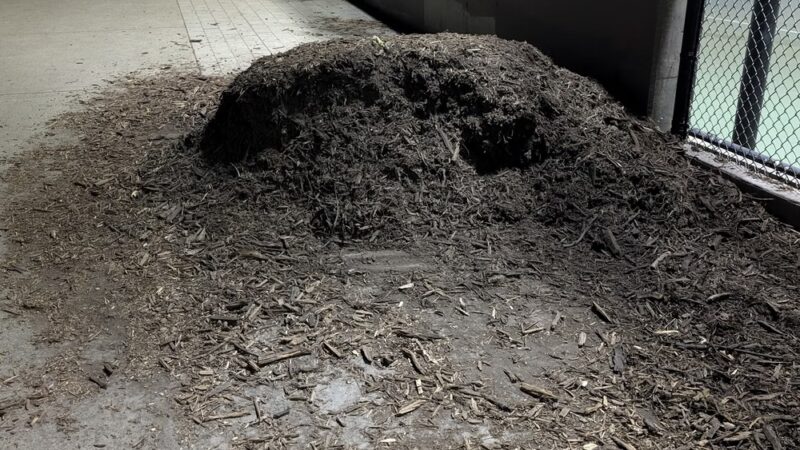 Mission Dolores Dog Play Area North - San Francisco, CA