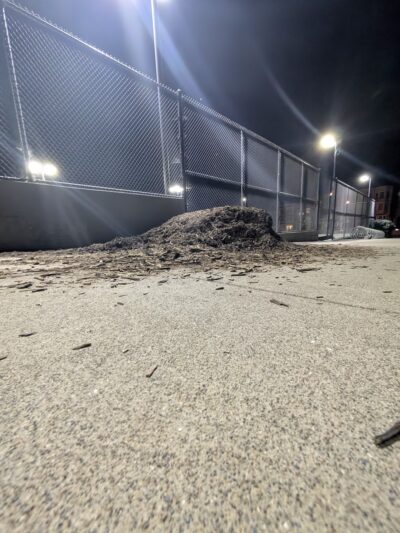 Mission Dolores Dog Play Area North - San Francisco, CA