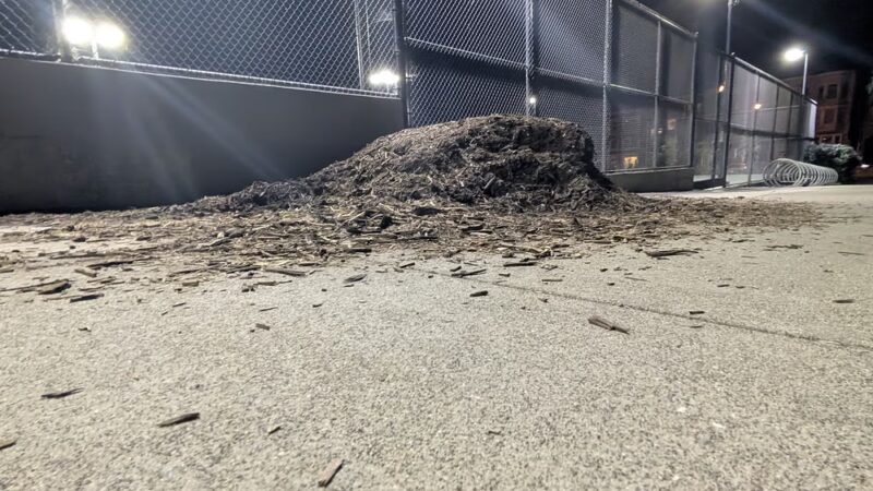 Mission Dolores Dog Play Area North - San Francisco, CA