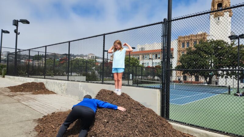 Mission Dolores Dog Play Area North - San Francisco, CA