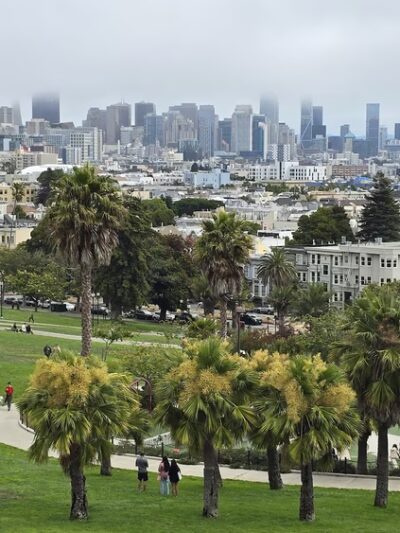 Mission Dolores Dog Play Area South - San Francisco, CA