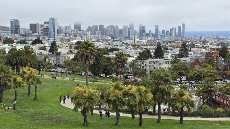 Mission Dolores Dog Play Area South - San Francisco, CA