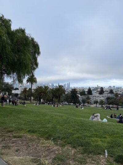 Mission Dolores Dog Play Area South - San Francisco, CA