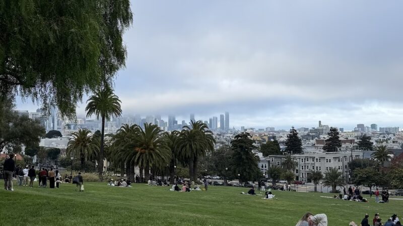 Mission Dolores Dog Play Area South - San Francisco, CA