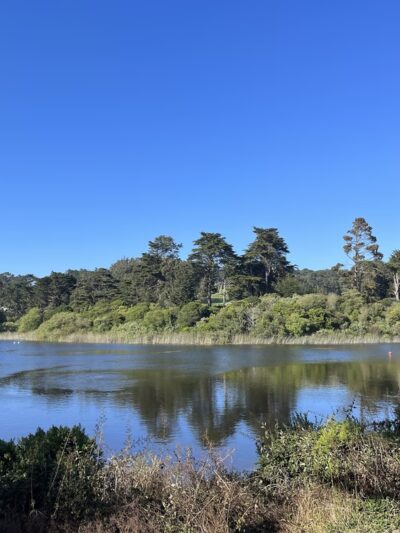 Mountain Lake Park - San Francisco, CA
